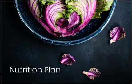 Nutrition Plan