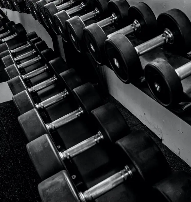 What To Expect From My Program Pic